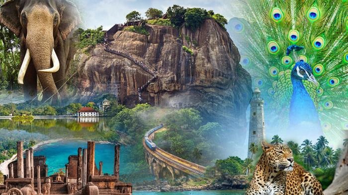Our Story at Ceylon Meditrails